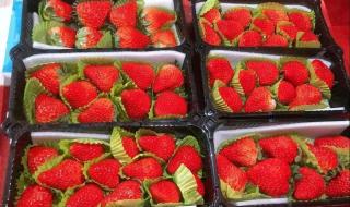 春暖花又开嘉嘉复婚了么 春暖花开的最新地址